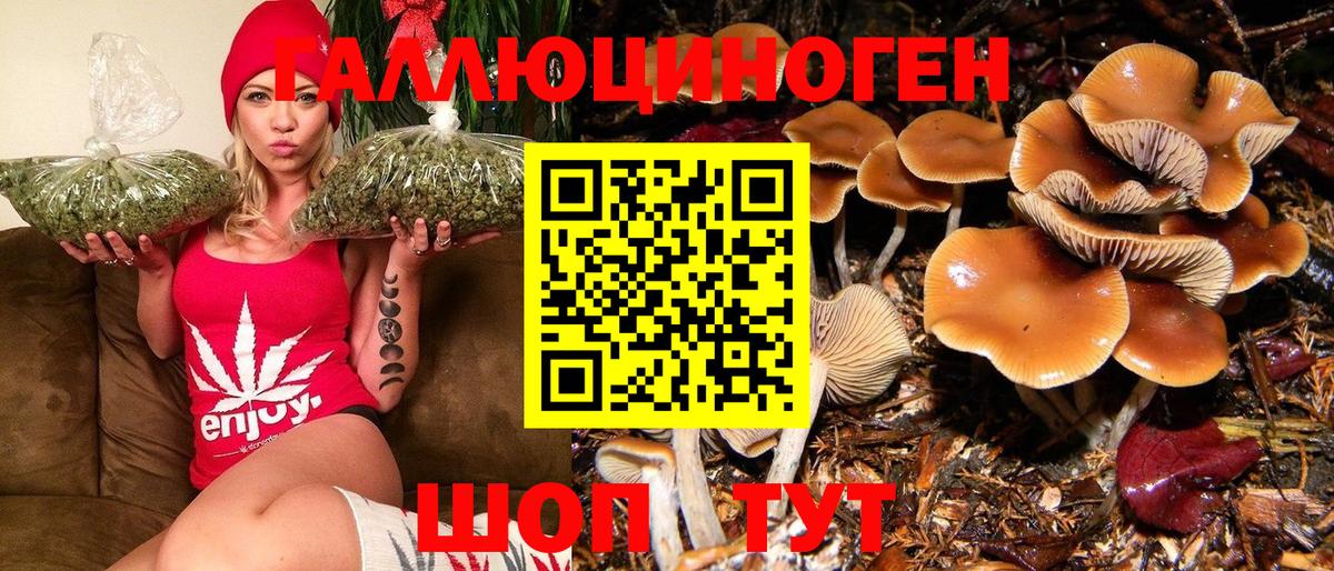 Галлюциногенные грибы мицелий  Вход с VPN  Галлюциногенные грибы Psilocybe  Серпухов 